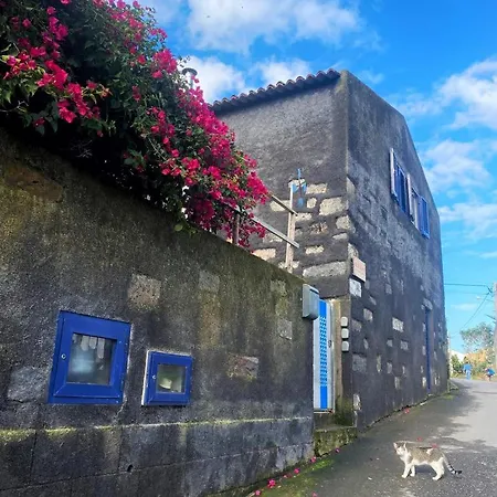 Pilar - Rural In The Countryside Of Sao Miguel Nyaraló