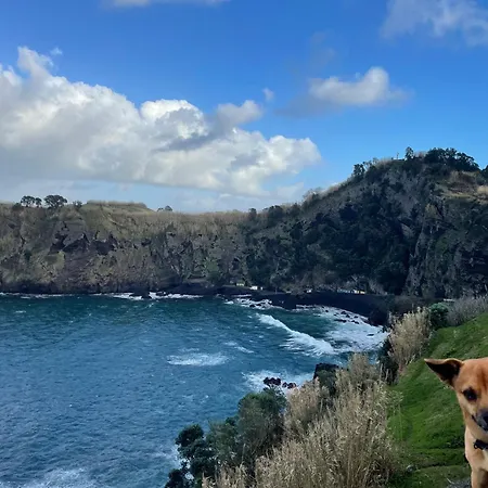 - Boutique Garden Ocean View In The Countryside - Pilar Dom wakacyjny