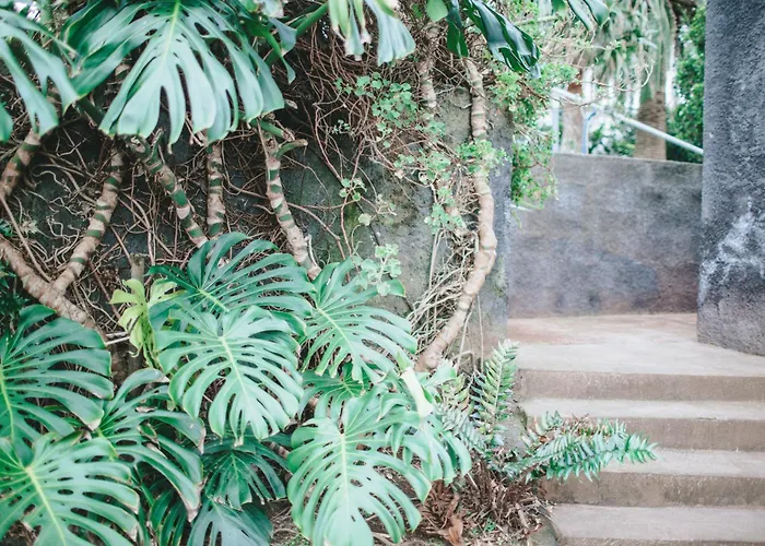 Dom wakacyjny - Boutique Garden Ocean View In The Countryside - Pilar