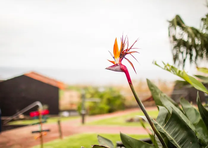 - Boutique Garden Ocean View In The Countryside - Pilar Dom wakacyjny Ponta Delgada