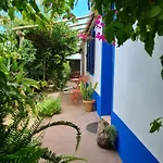 Prázdninový dům - Boutique Garden Ocean View In The Countryside - Pilar Ponta Delgada