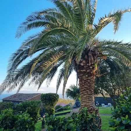 Pilar - Rural In The Countryside Of Sao Miguel Holiday home *