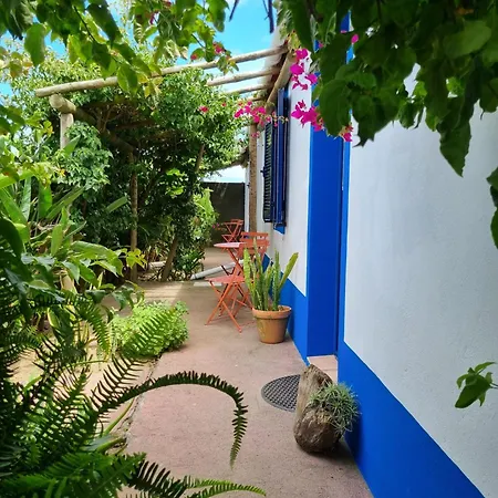 度假居 - Boutique Garden Ocean View In The Countryside - Pilar 蓬塔德尔加达