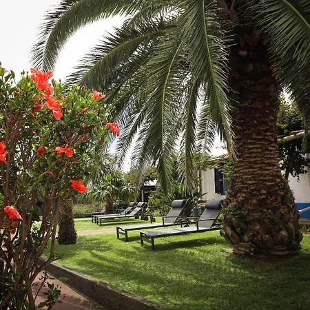 Pilar - Rural In The Countryside Of Sao Miguel Holiday home Ponta Delgada (Sao Miguel)
