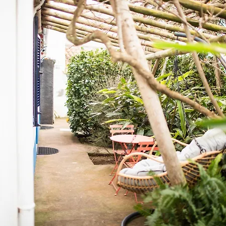 Ferienhaus - Boutique Garden Ocean View In The Countryside - Pilar Ponta Delgada