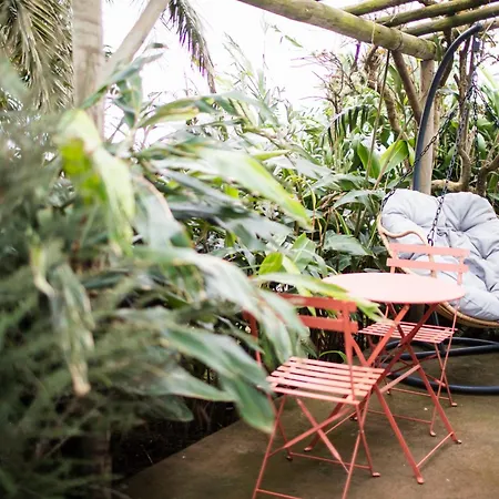 - Boutique Garden Ocean View In The Countryside - Pilar