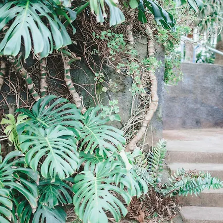 Ferienhaus - Boutique Garden Ocean View In The Countryside - Pilar