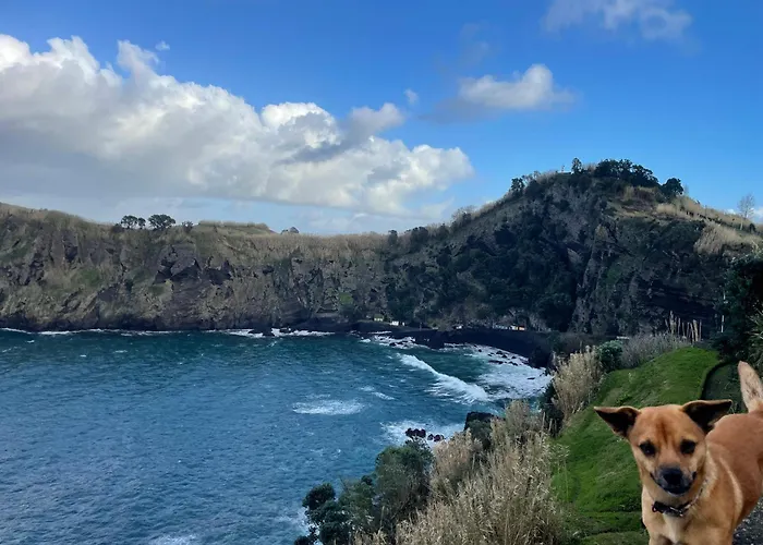 - Boutique Garden Ocean View In The Countryside - Pilar 펜션